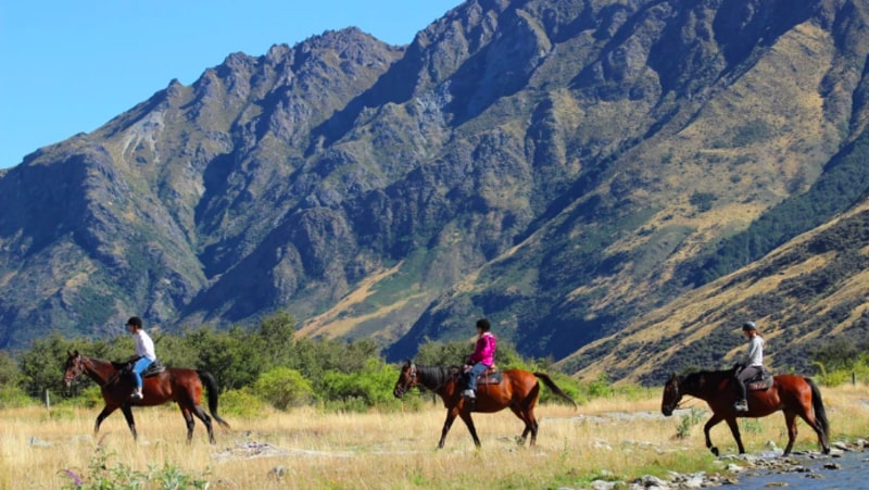 Come along for this relaxed scenic horse trek located on prime Queenstown back country. 